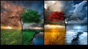 SEASONS (I borrowed this picture from my church's website}